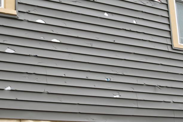 Best Steel Siding Installation  in Park Hills, KY